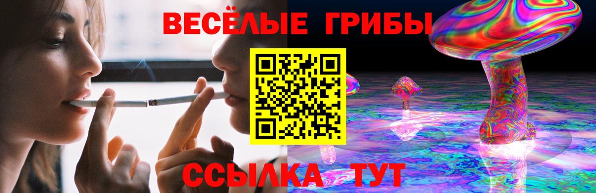 Галлюциногенные грибы прущие грибы Жуковский